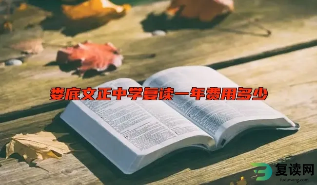 娄底文正中学复读一年费用多少