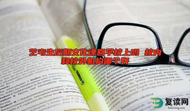 艺考生后期文化课回学校上吗 校内和校外机构哪个好