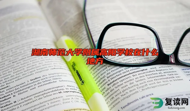 湖南师范大学附属高阳学校在什么地方