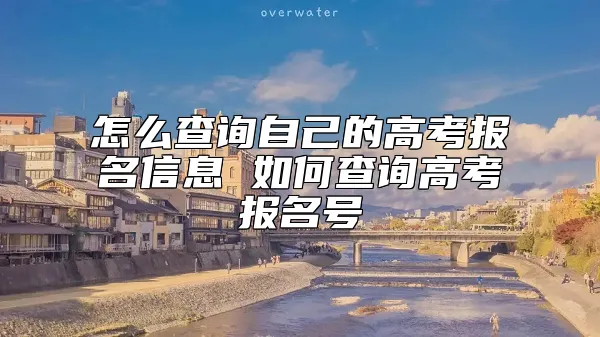 怎么查询自己的高考报名信息 如何查询高考报名号