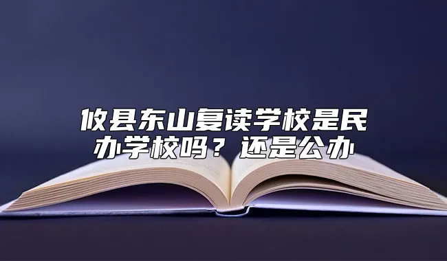 攸县东山复读学校是民办学校吗？还是公办