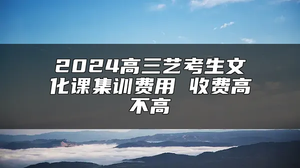 2024高三艺考生文化课集训费用 收费高不高