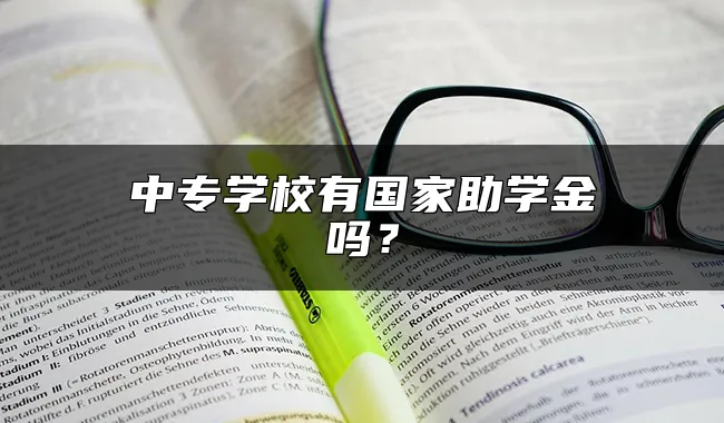 中专学校有国家助学金吗？