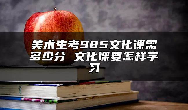 美术生考985文化课需多少分 文化课要怎样学习