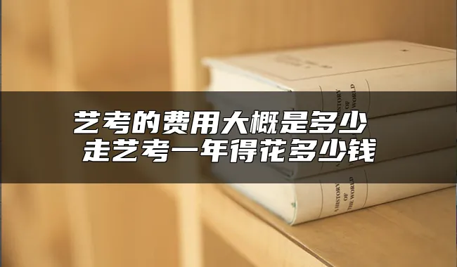 艺考的费用大概是多少 走艺考一年得花多少钱