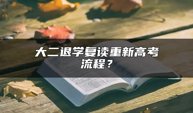 大二退学复读重新高考流程？