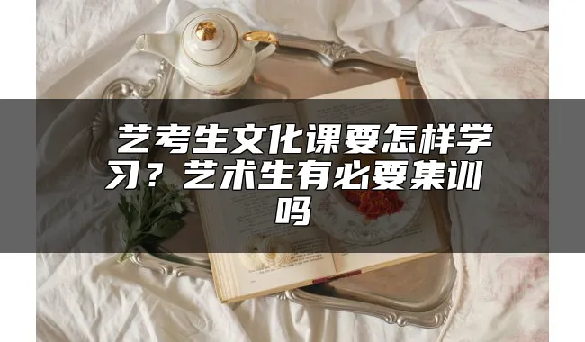  艺考生文化课要怎样学习？艺术生有必要集训吗