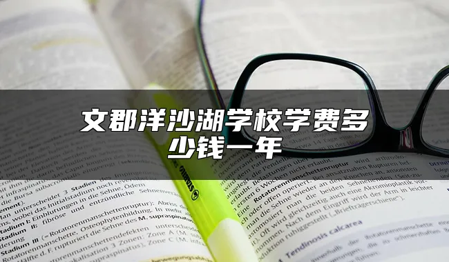 文郡洋沙湖学校学费多少钱一年