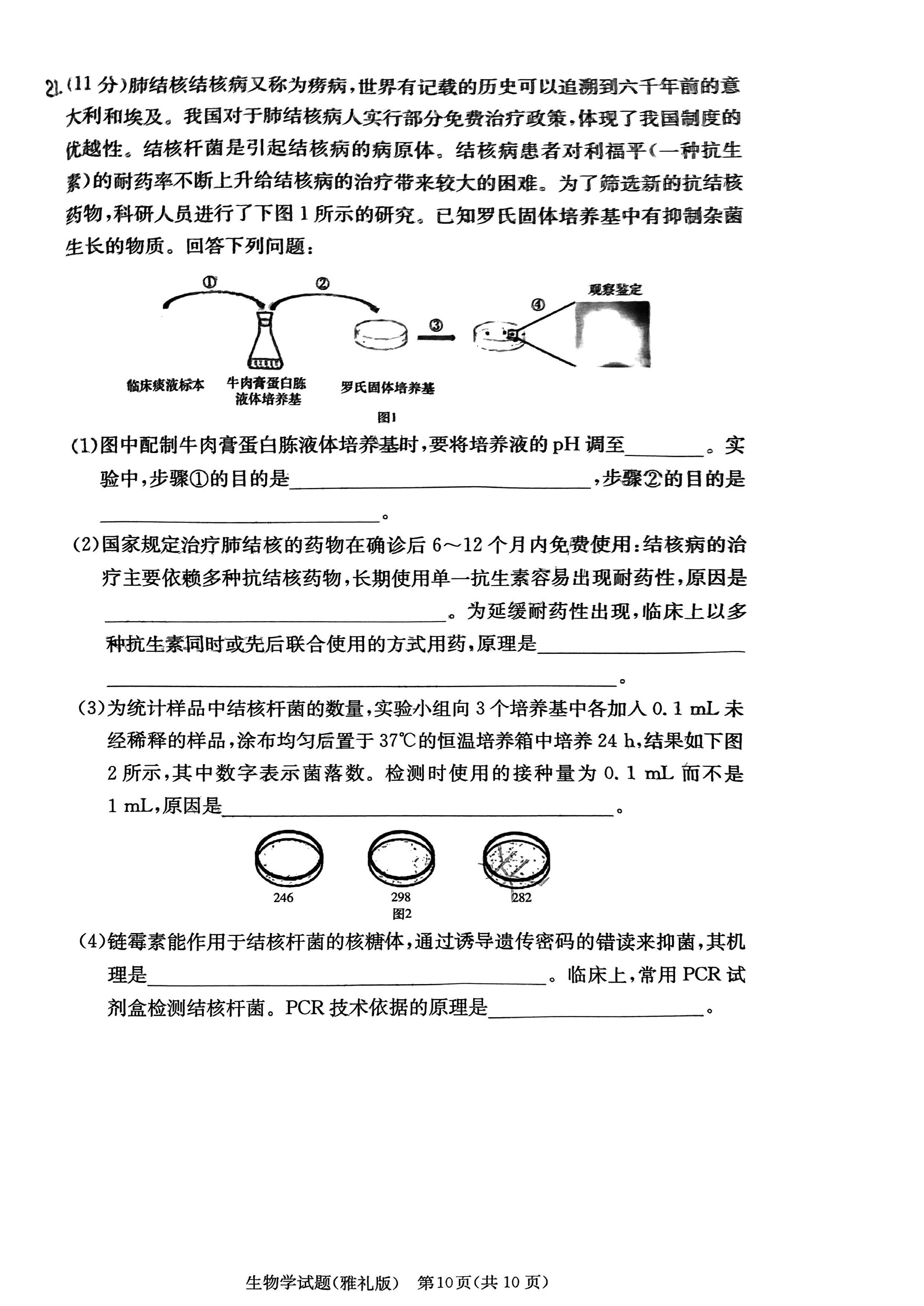 湖南雅礼中学2024届高三9月月考（一）生物试题及答案