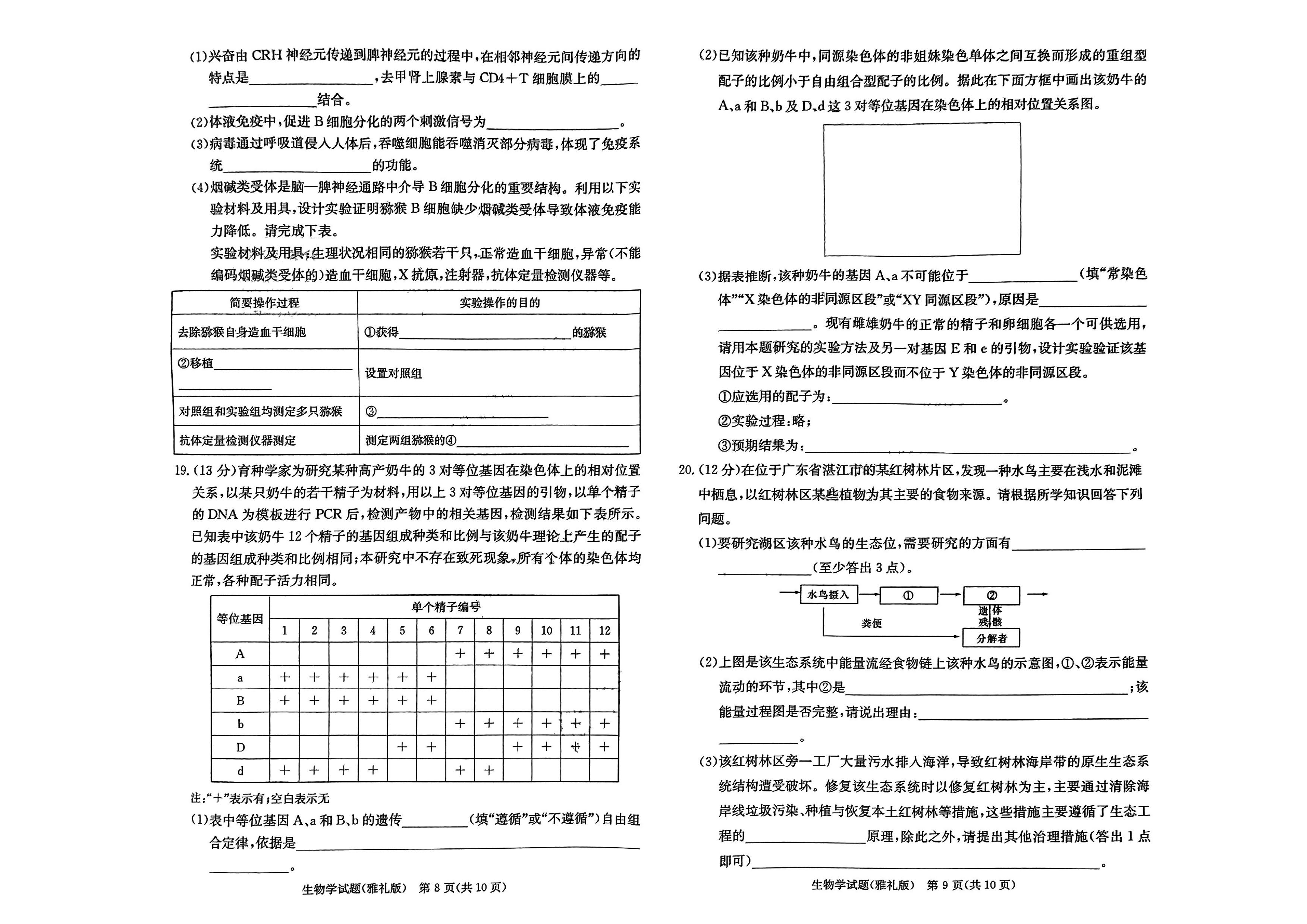 湖南雅礼中学2024届高三9月月考（一）生物试题及答案