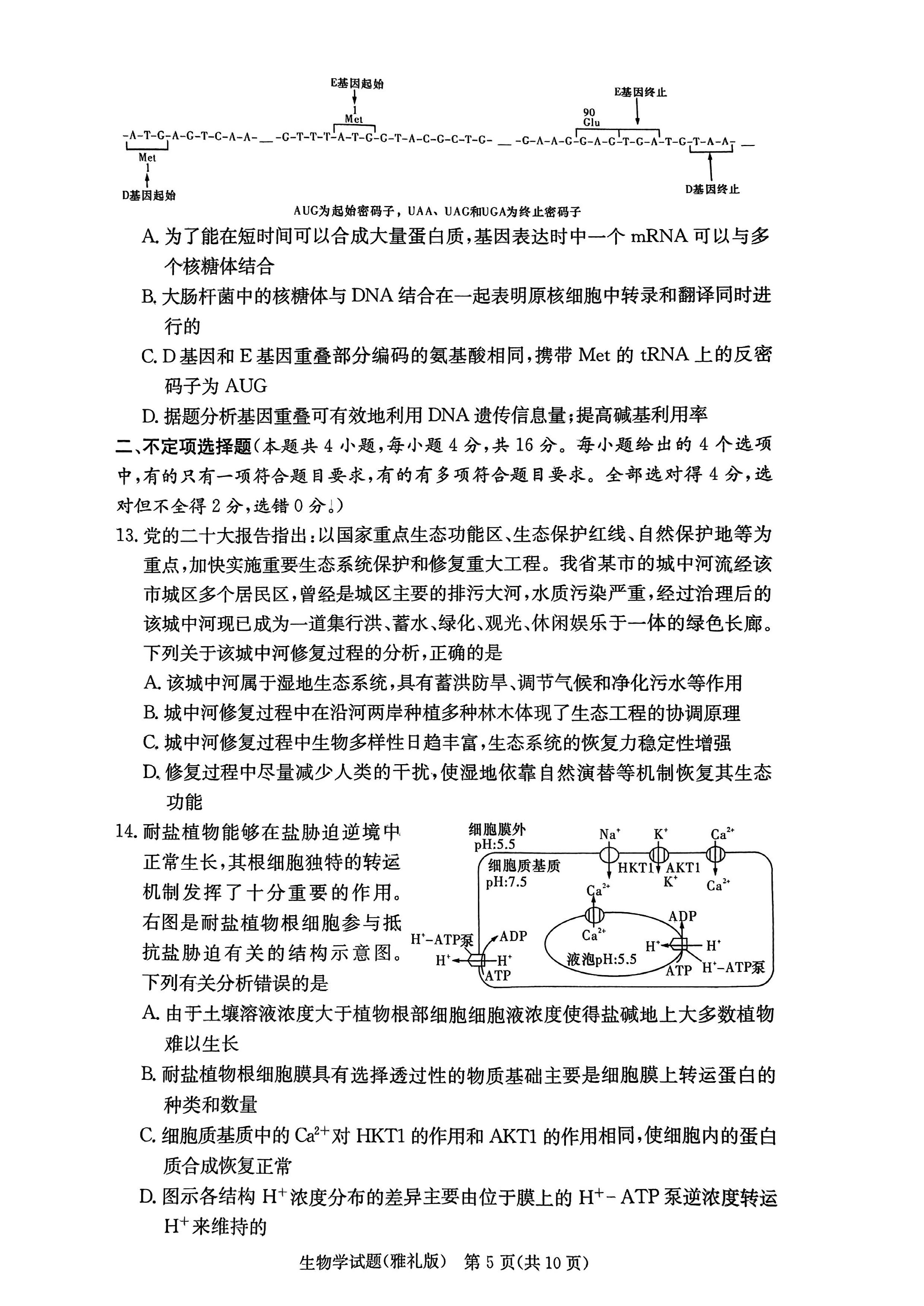 湖南雅礼中学2024届高三9月月考（一）生物试题及答案