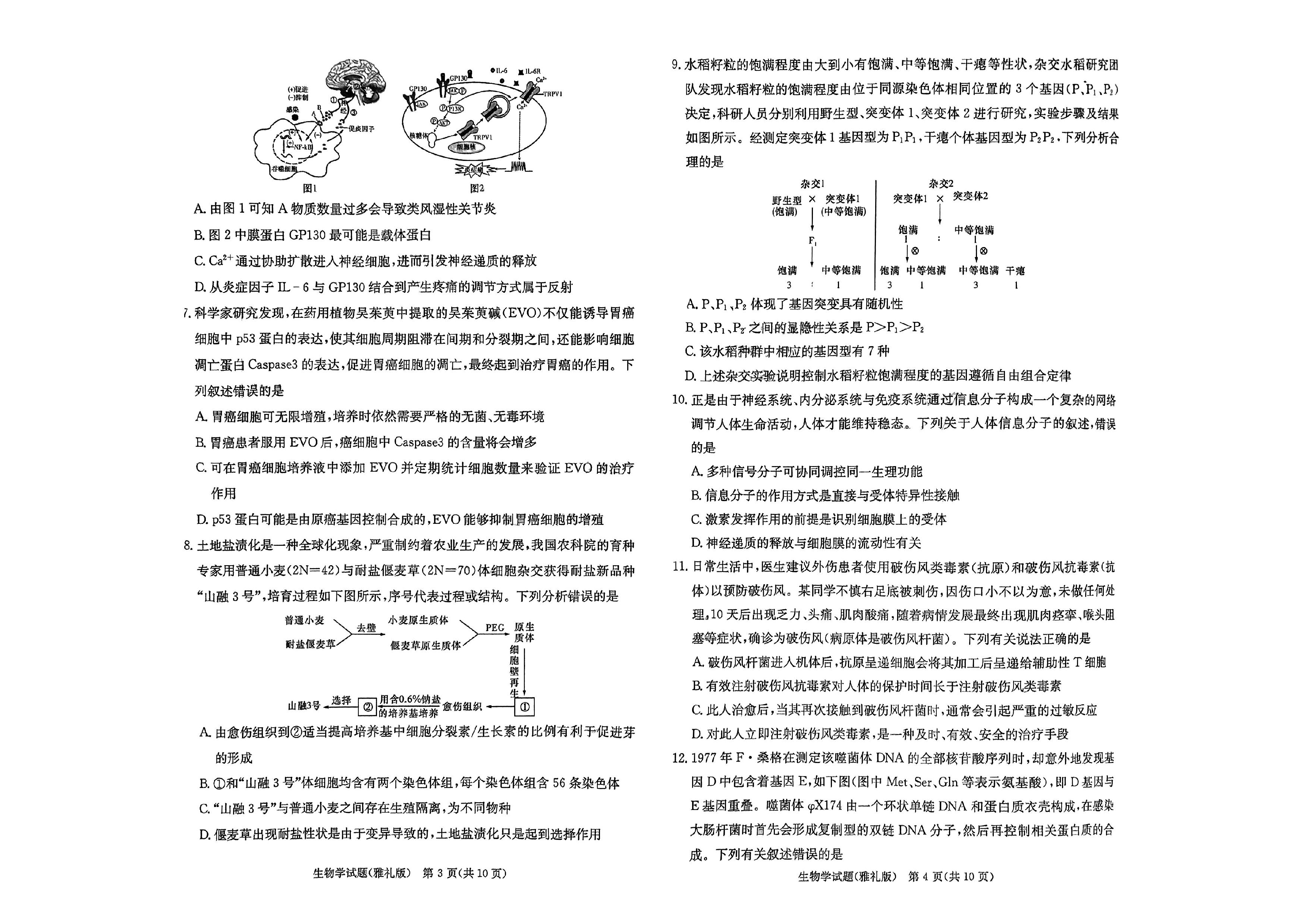 湖南雅礼中学2024届高三9月月考（一）生物试题及答案