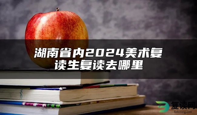 湖南省内2024美术复读生复读去哪里