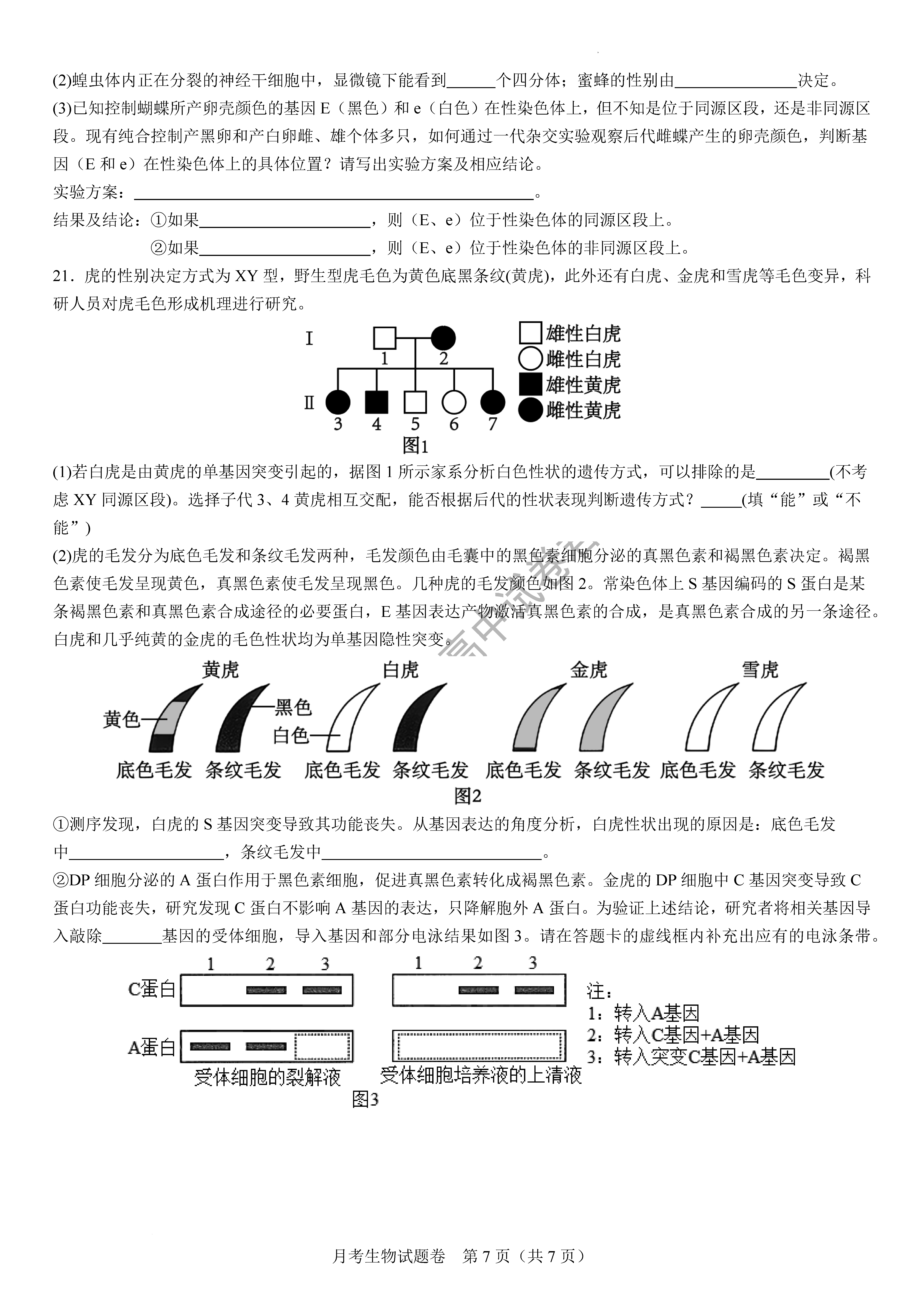 衡阳八中2024届高三上10月月考二生物试题及答案