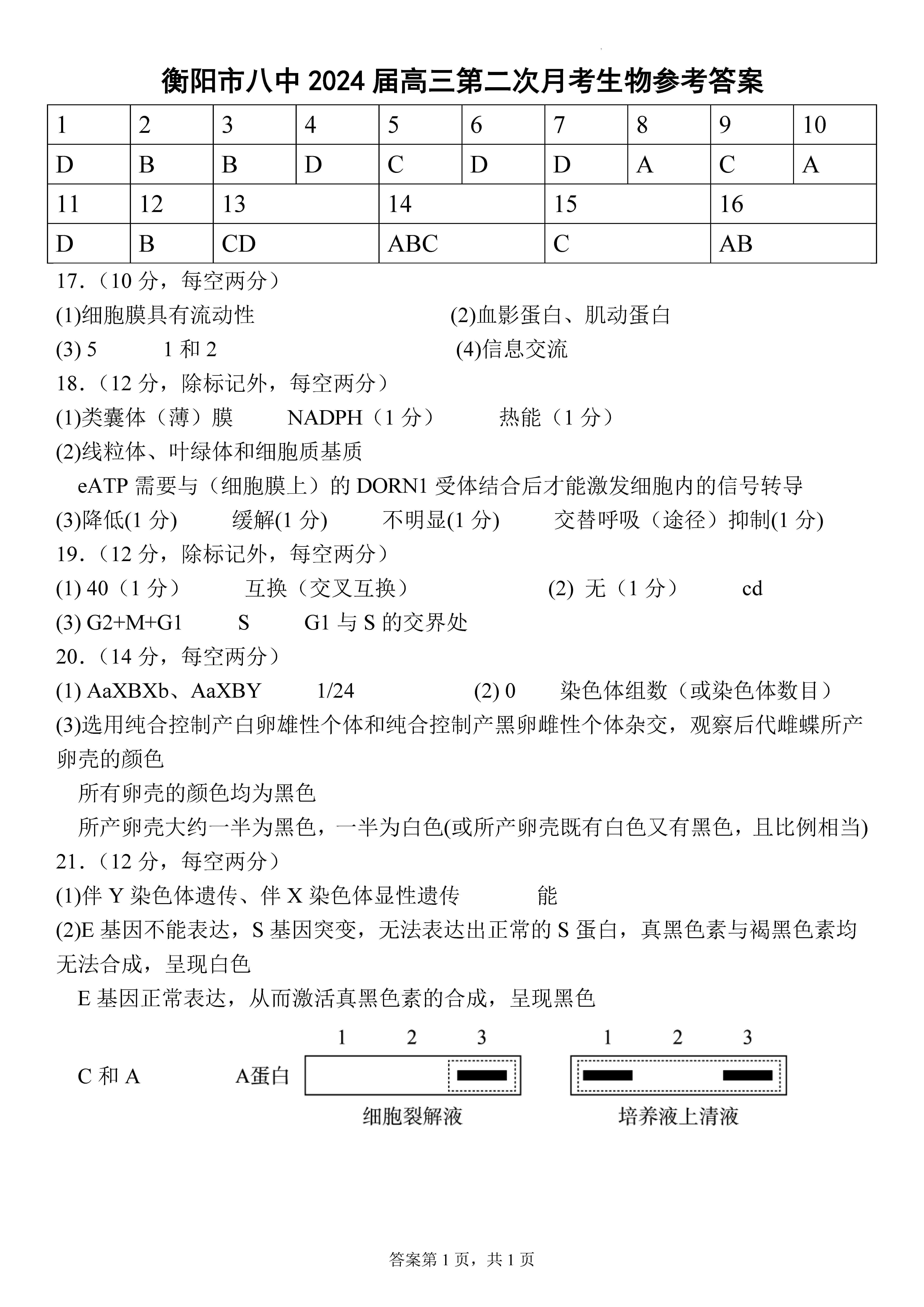 衡阳八中2024届高三上10月月考二生物试题及答案