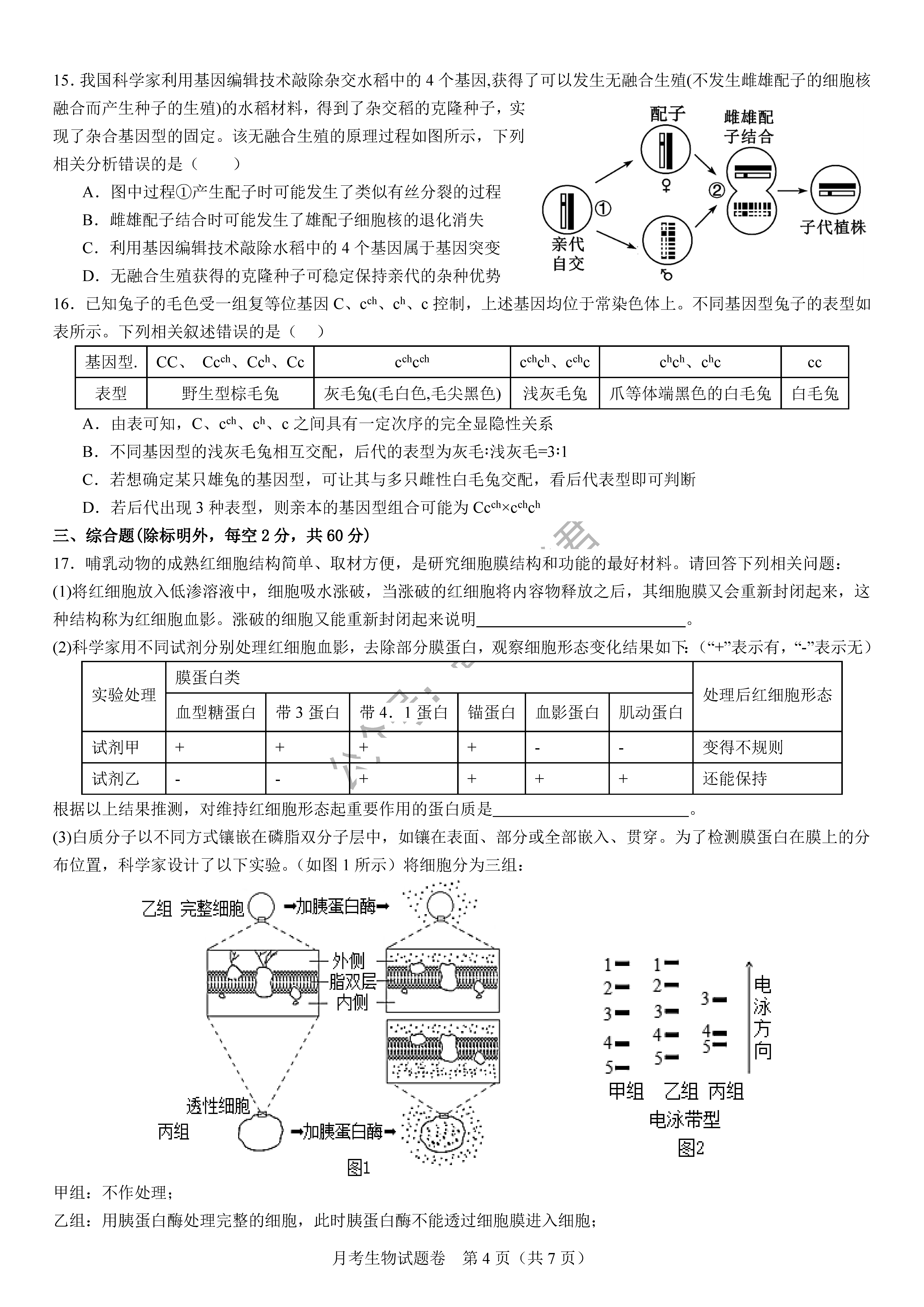 衡阳八中2024届高三上10月月考二生物试题及答案