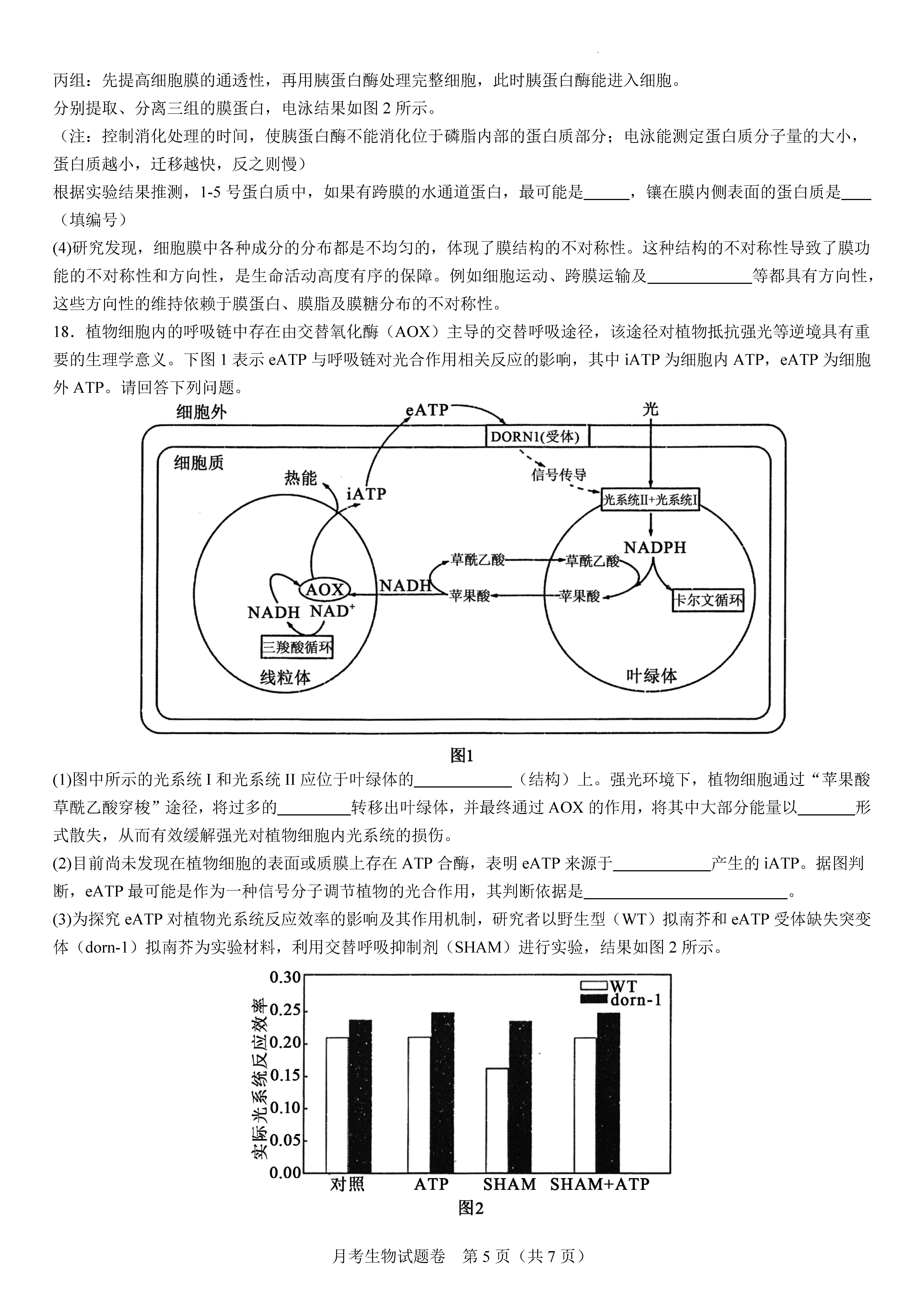 衡阳八中2024届高三上10月月考二生物试题及答案