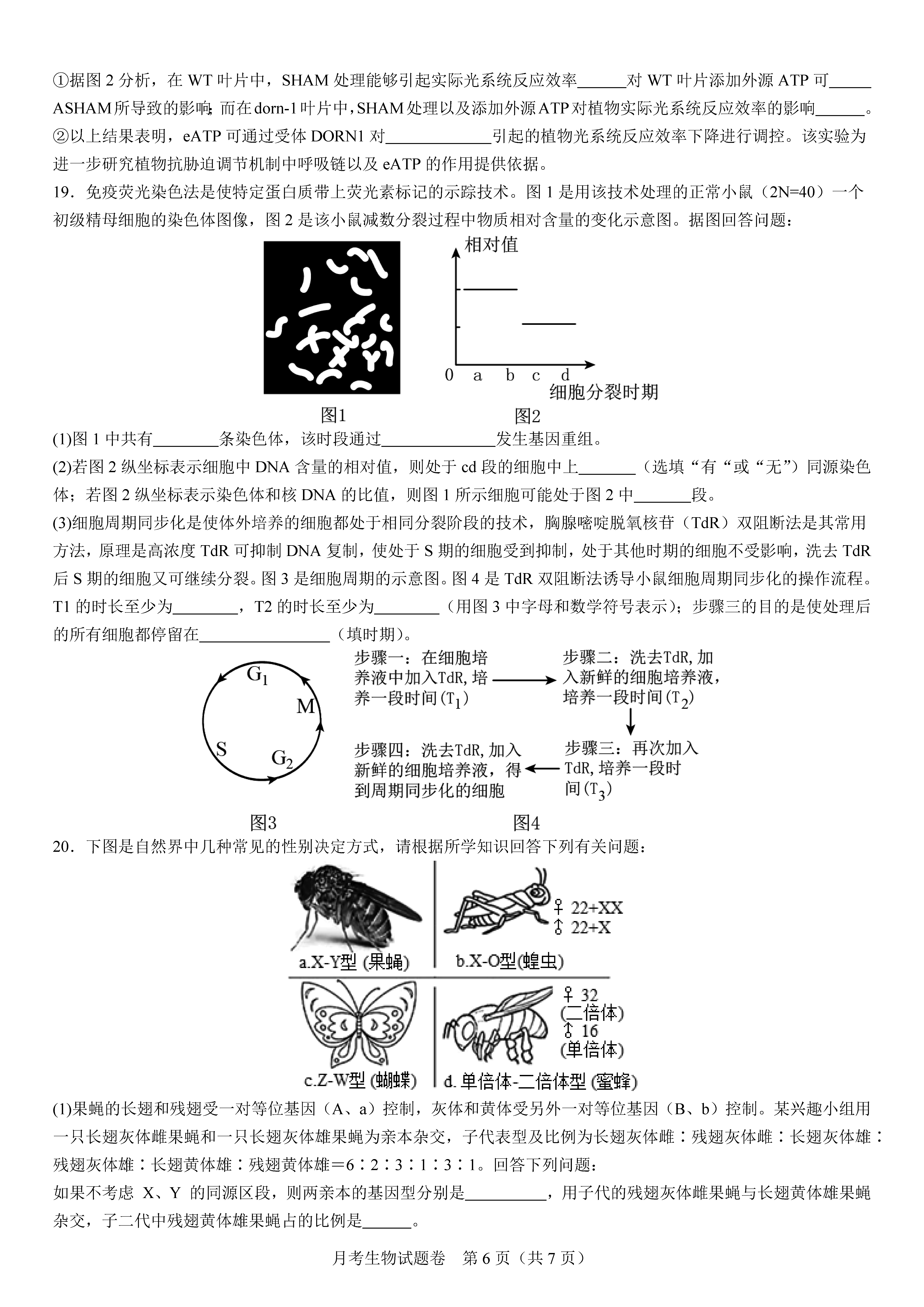 衡阳八中2024届高三上10月月考二生物试题及答案