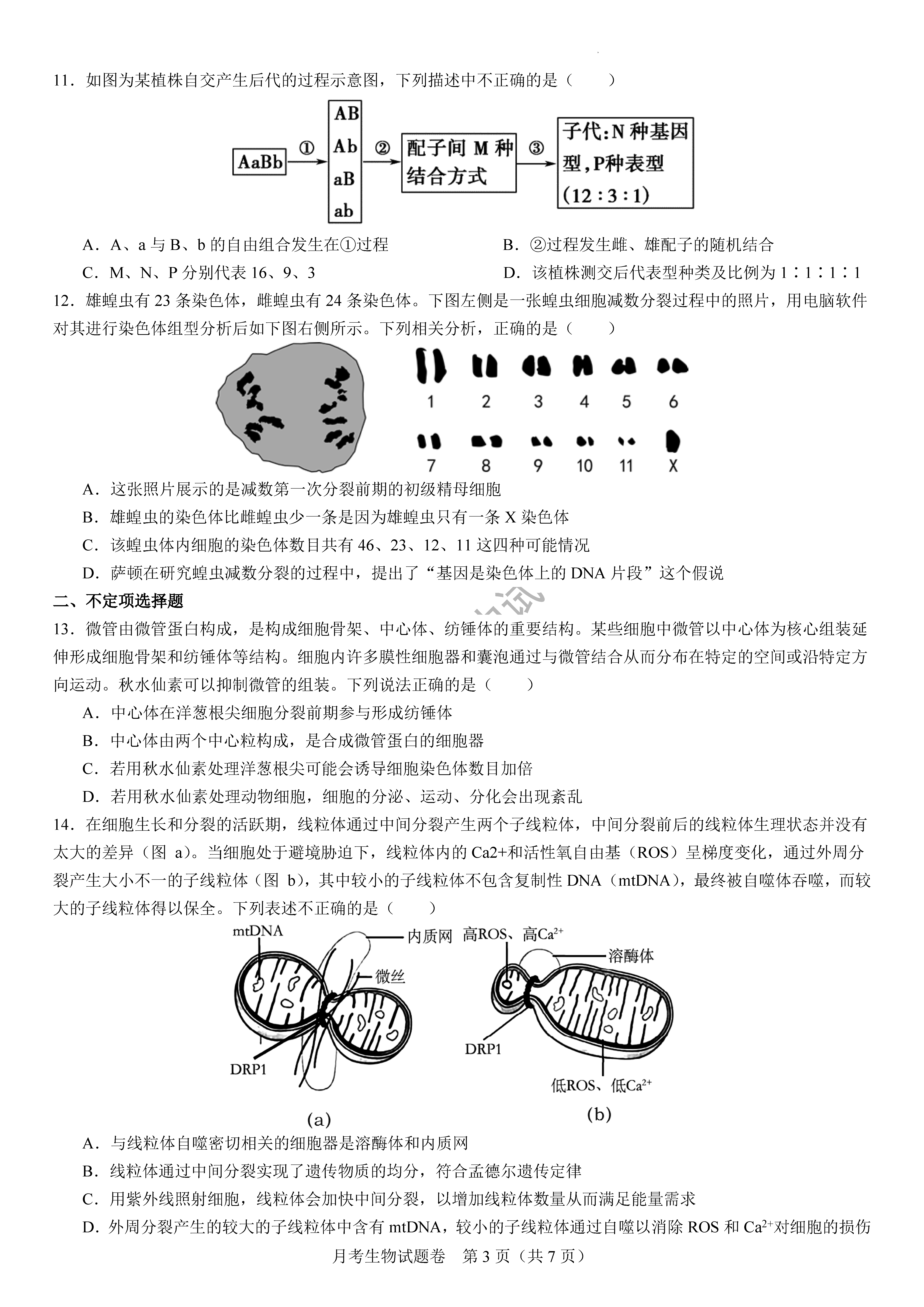 衡阳八中2024届高三上10月月考二生物试题及答案