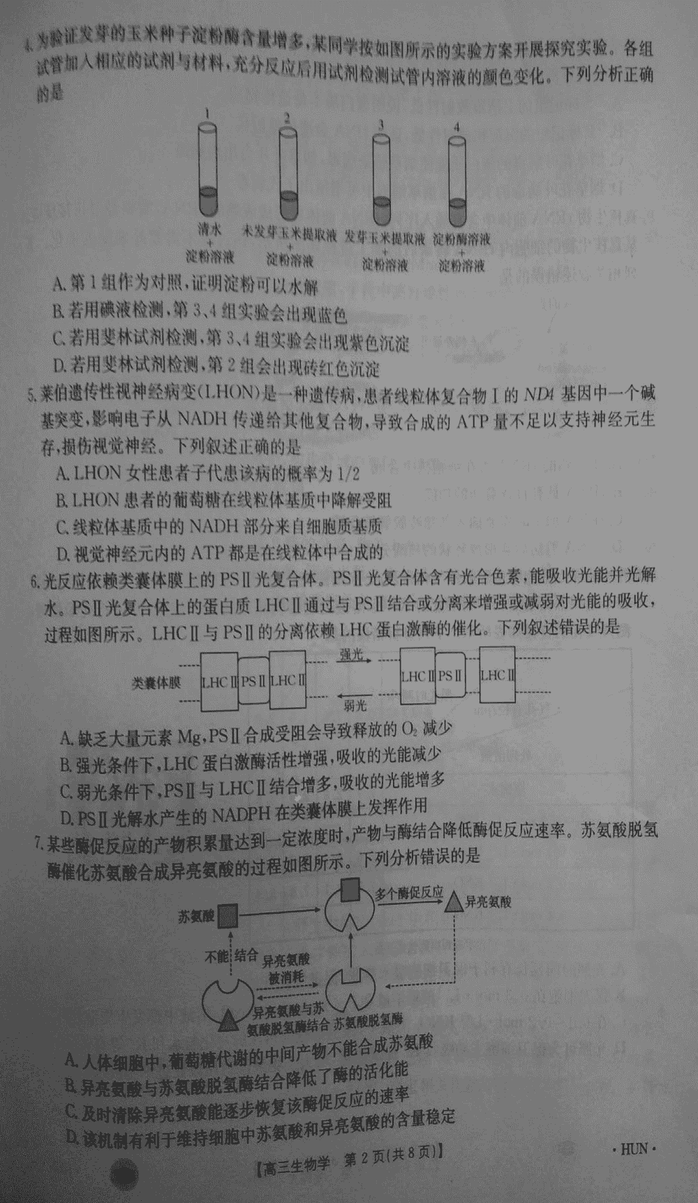 湖南衡阳金太阳2024届高三11月期中考生物试题及答案