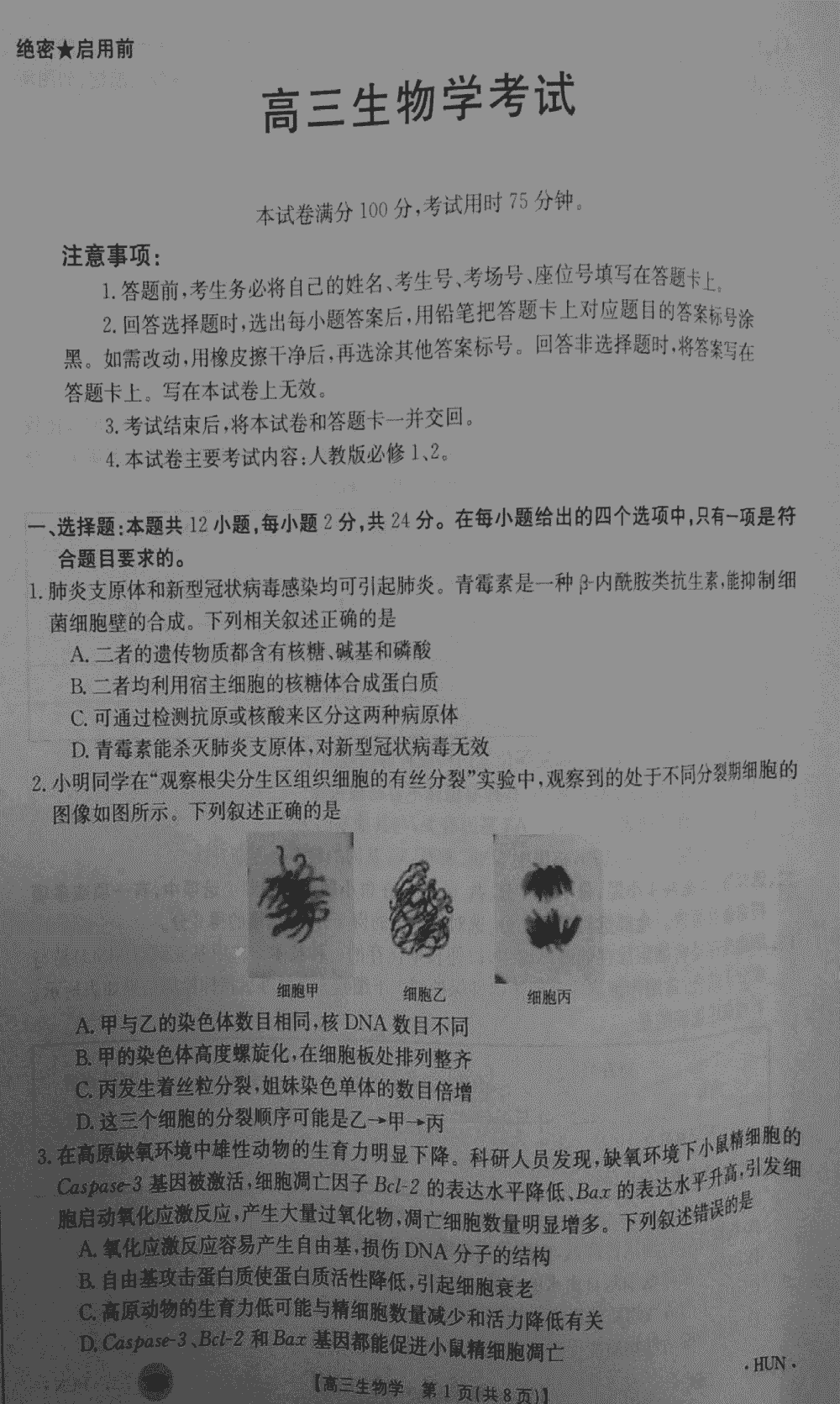 湖南衡阳金太阳2024届高三11月期中考生物试题及答案