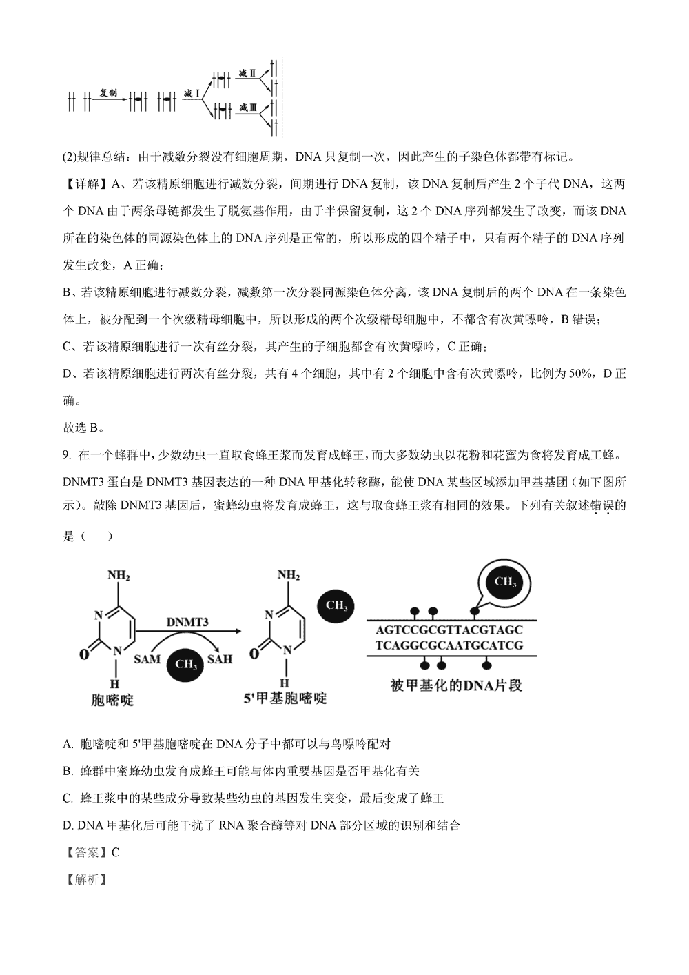 湖南岳汨联考2024届高三11月期中联考生物试题及答案