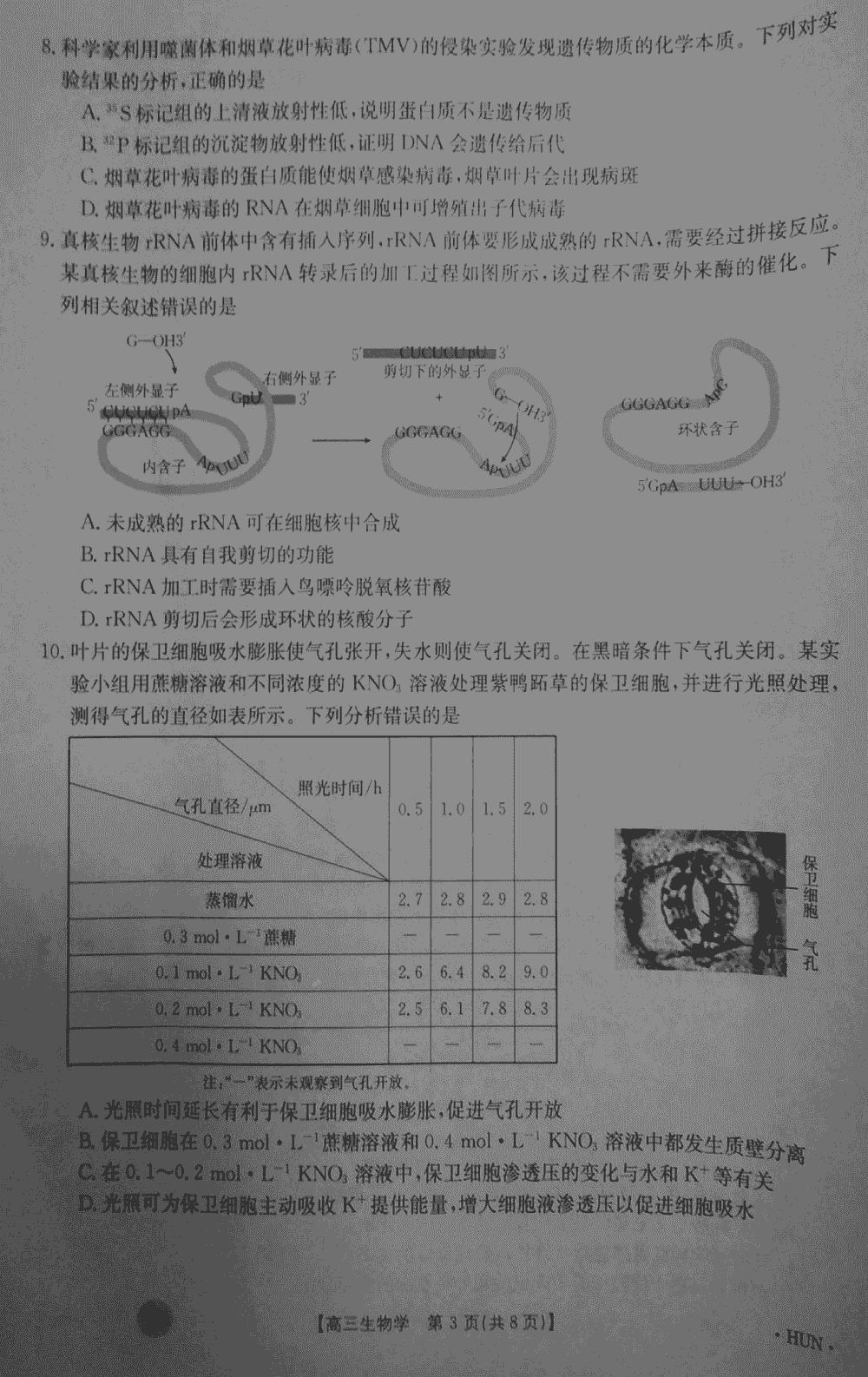 湖南衡阳金太阳2024届高三11月期中考生物试题及答案