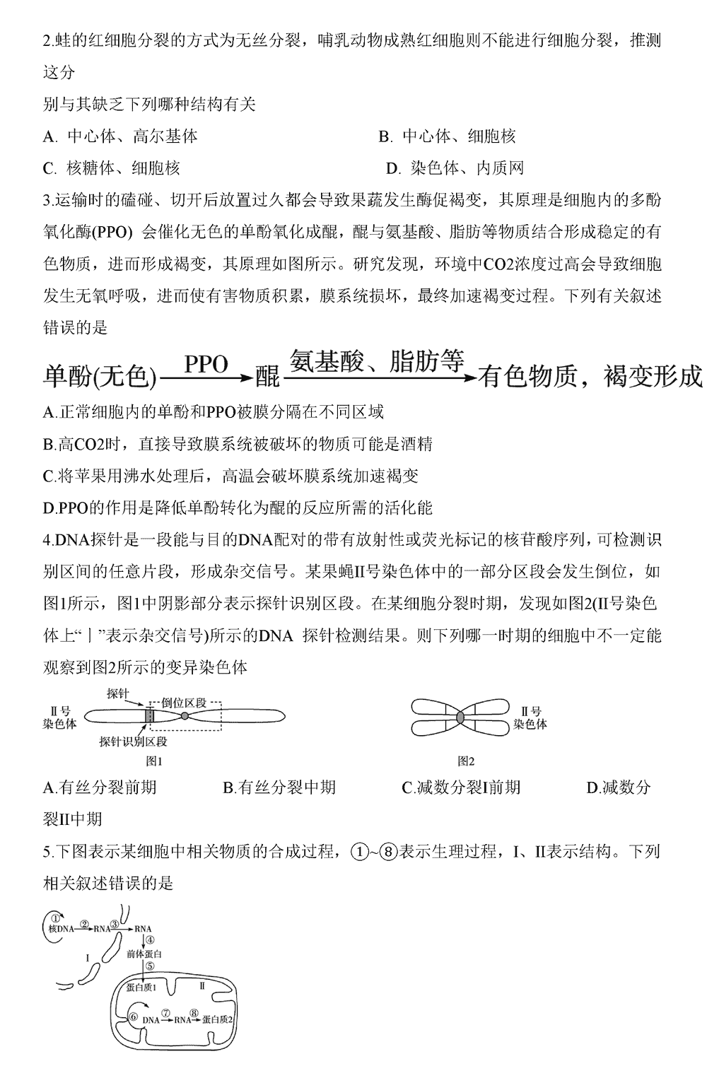 2024届湖南天一大联考高三第三次联考生物试题及答案