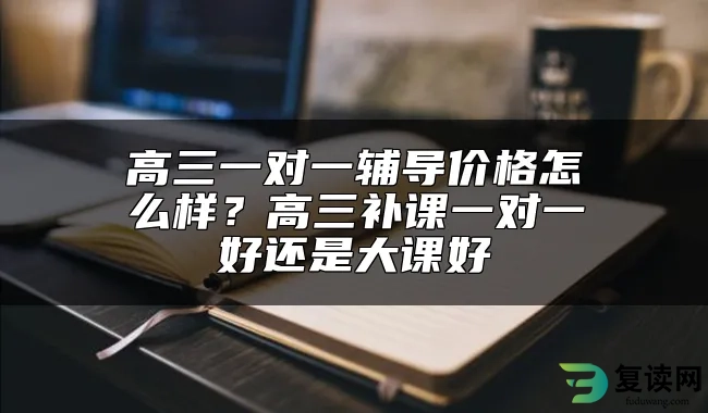 高三一对一辅导价格怎么样？高三补课一对一好还是大课好