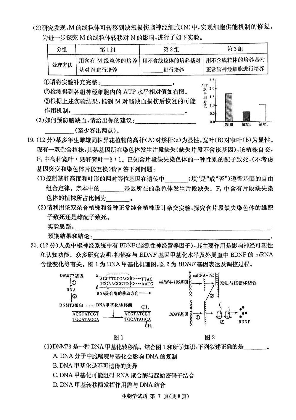 2024届湖南九校联盟高三第一次联考生物试题及答案