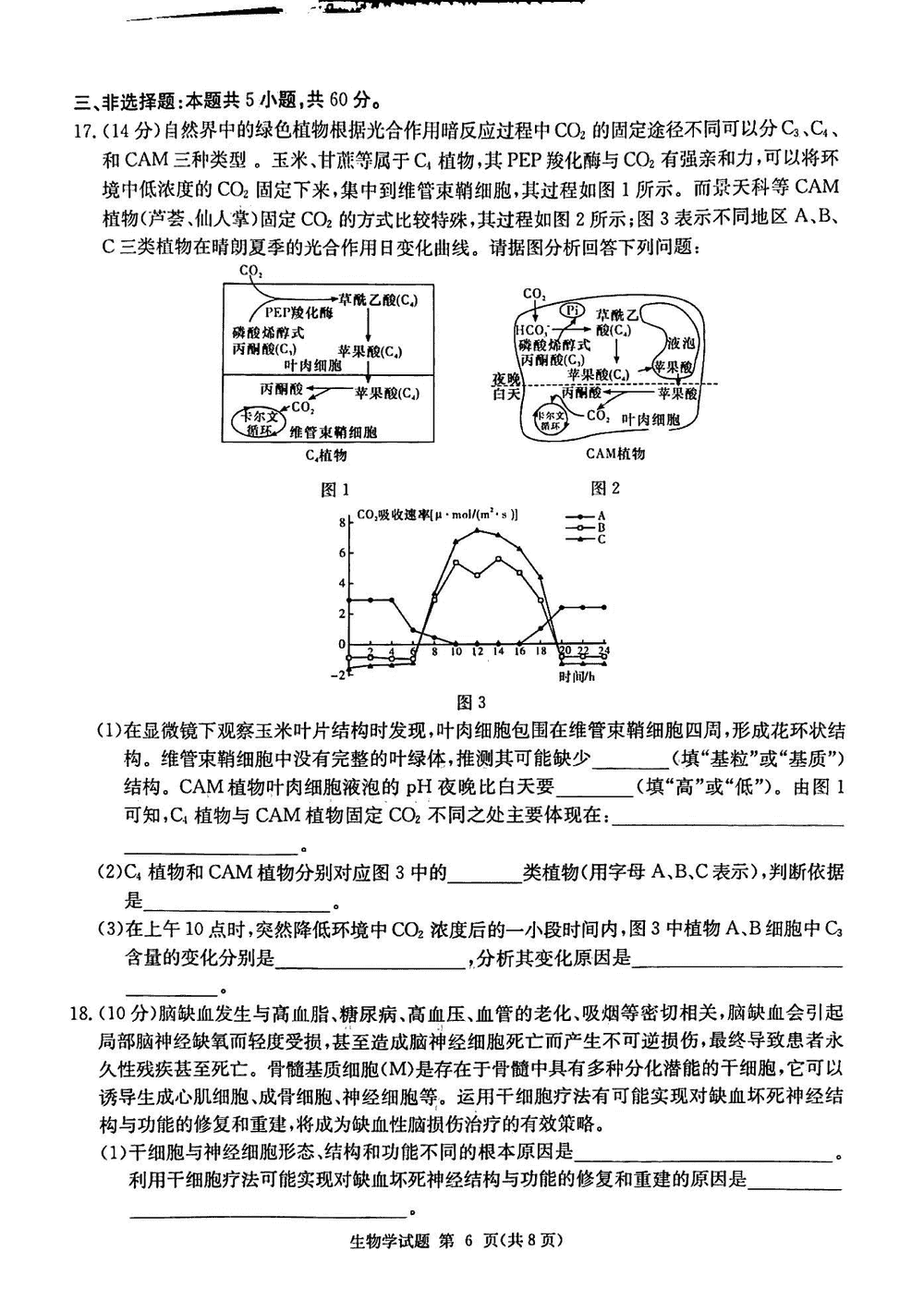 2024届湖南九校联盟高三第一次联考生物试题及答案