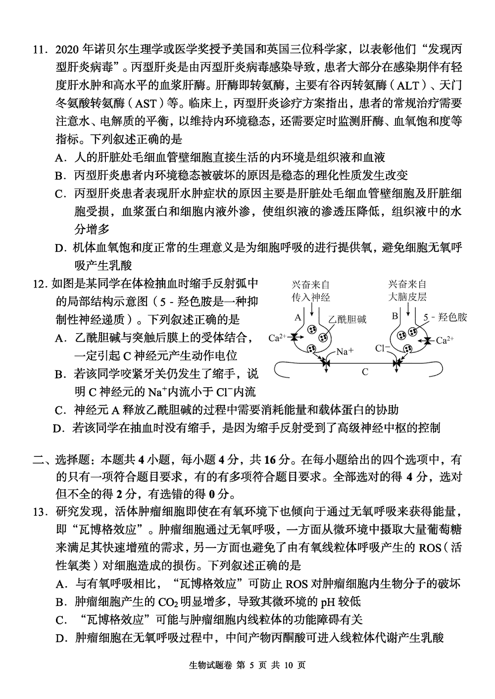 2024届湖南A佳教育高三上11月联考生物试题及答案