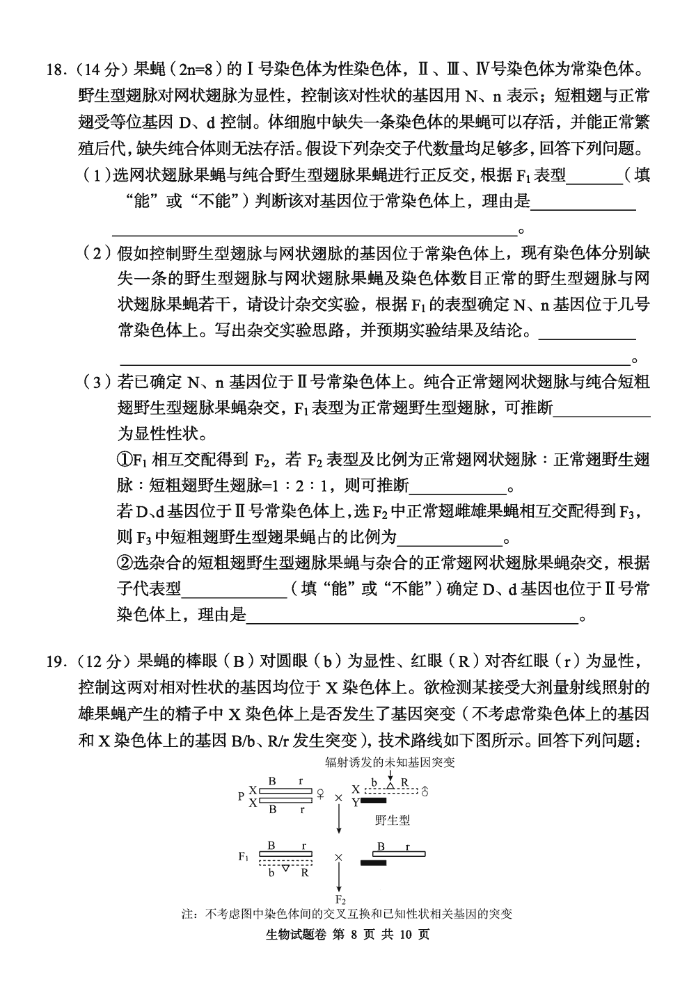 2024届湖南A佳教育高三上11月联考生物试题及答案