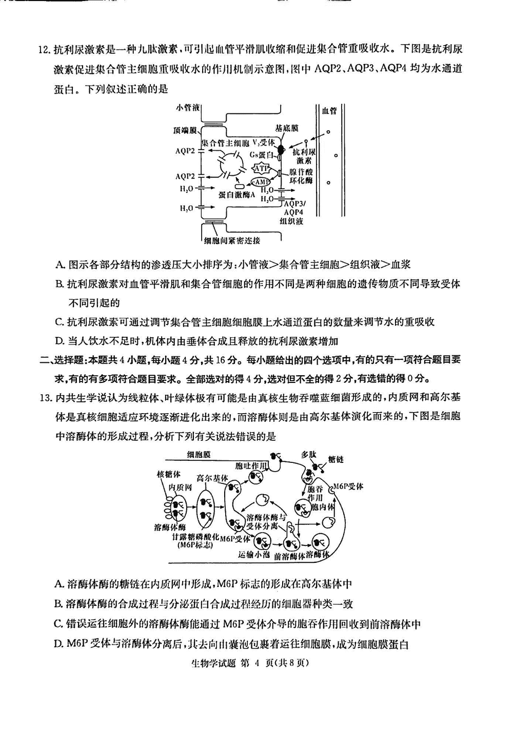 2024届湖南九校联盟高三第一次联考生物试题及答案