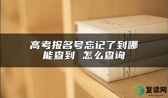 高考报名号忘记了到哪能查到 怎么查询