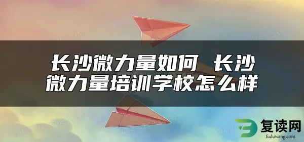 长沙微力量如何 长沙微力量培训学校怎么样