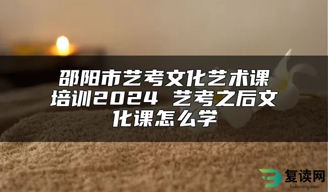 邵阳市艺考文化艺术课培训2024 艺考之后文化课怎么学