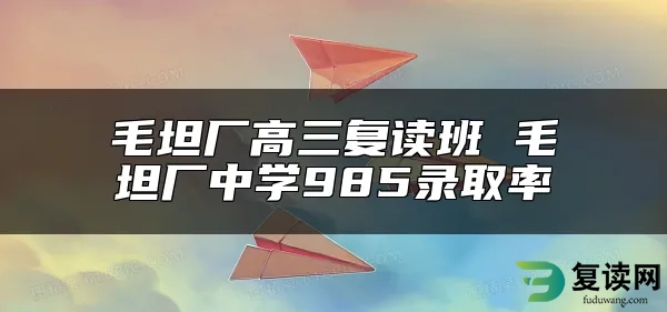 毛坦厂高三复读班 毛坦厂中学985录取率