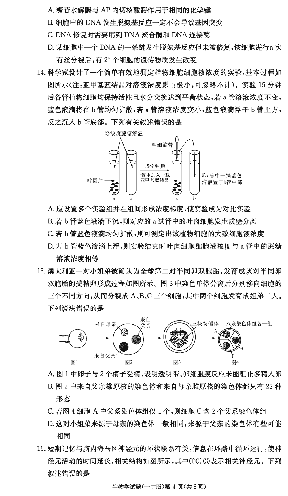 2024届湖南长沙一中高三上学期月考（四）生物试题及答案