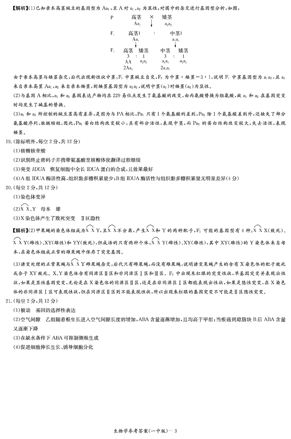 2024届湖南长沙一中高三上学期月考（四）生物试题及答案