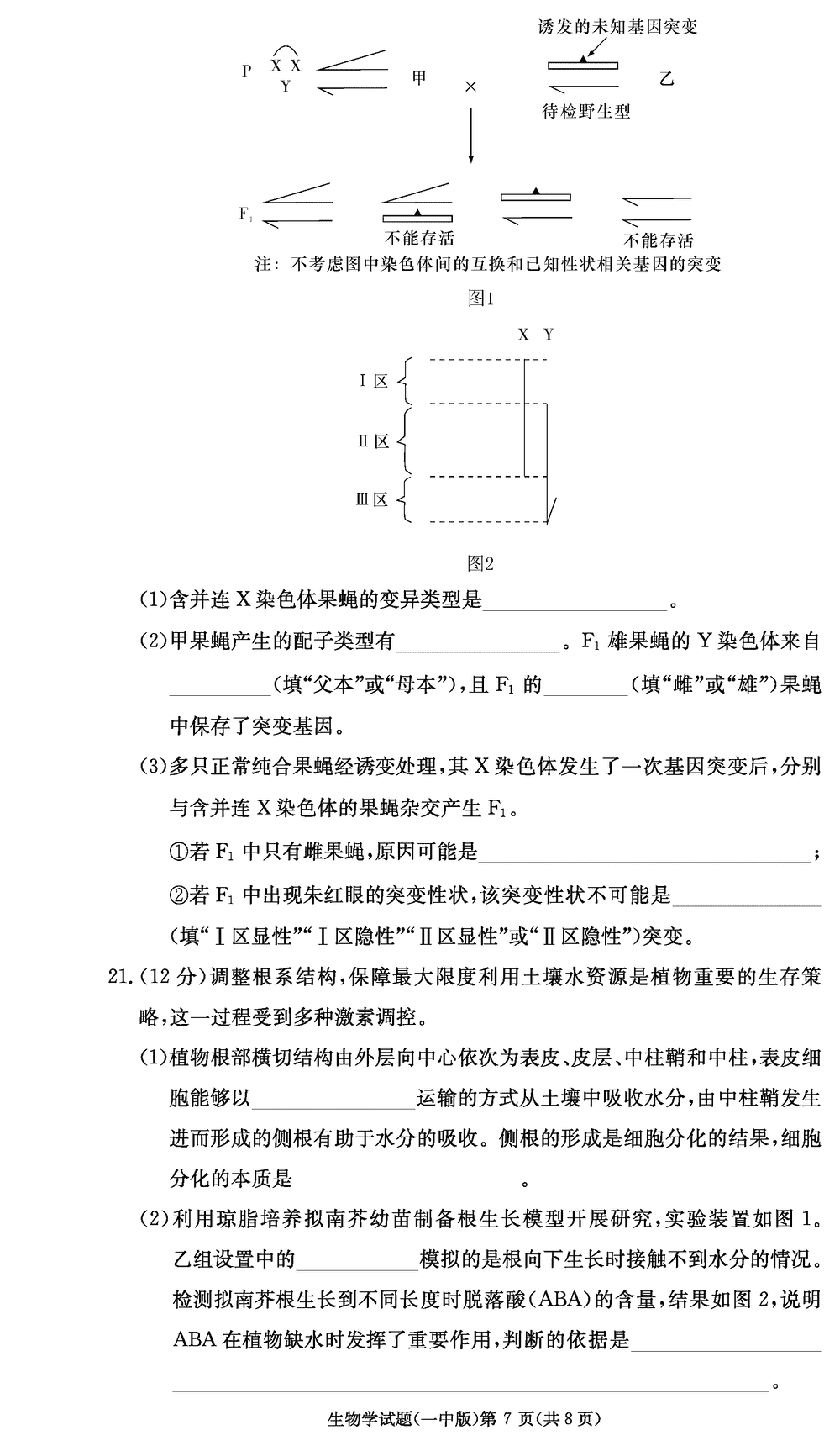 2024届湖南长沙一中高三上学期月考（四）生物试题及答案