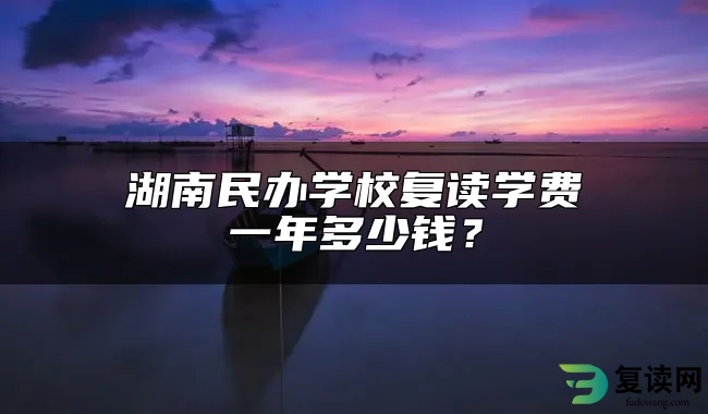 湖南民办学校复读学费一年多少钱？