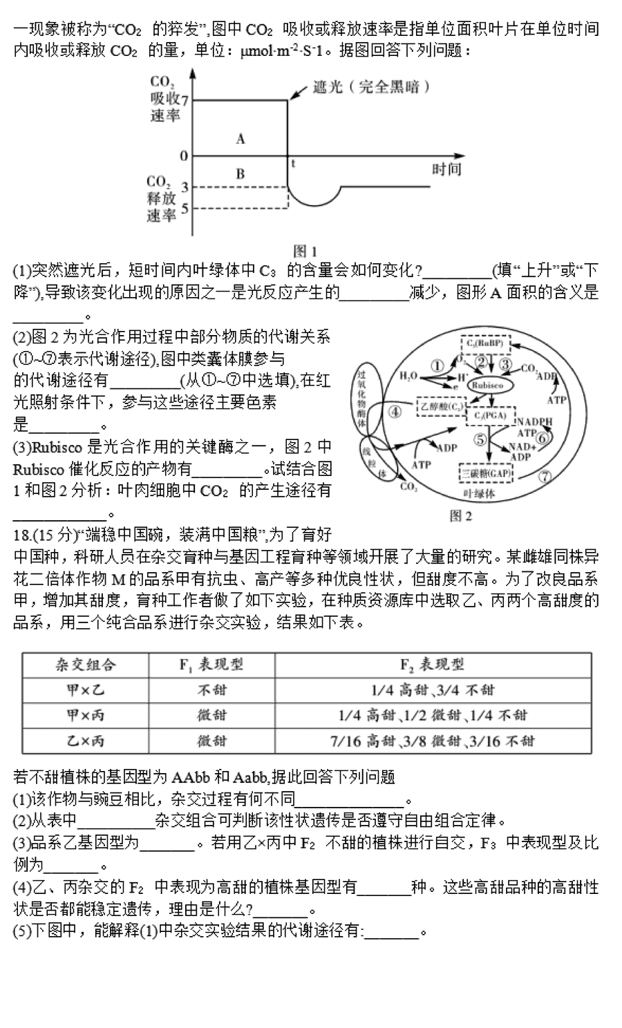 湖南邵阳一模2024届高三上第一次联考生物试卷及答案