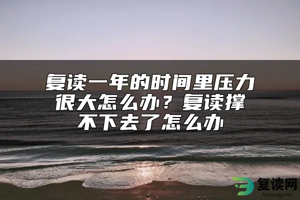 复读一年的时间里压力很大怎么办？复读撑不下去了怎么办