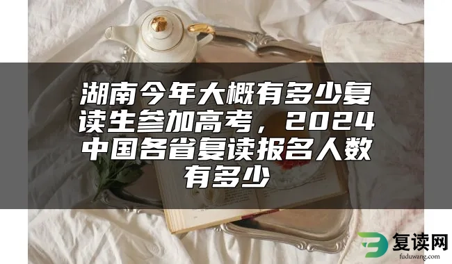 湖南今年大概有多少复读生参加高考，2024中国各省复读报名人数有多少