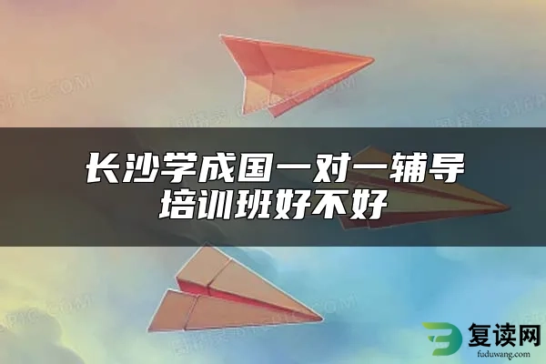 长沙学成国一对一辅导培训班好不好