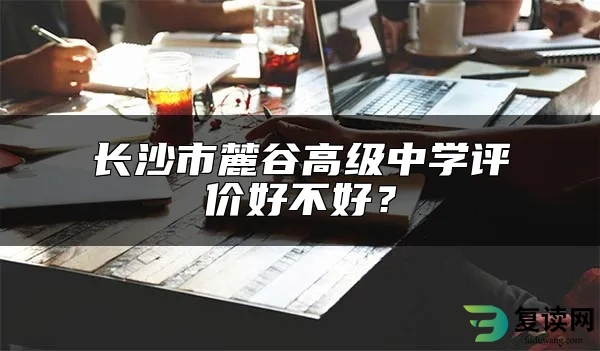 长沙市麓谷高级中学评价好不好？