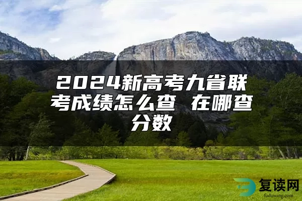 2024新高考九省联考成绩怎么查 在哪查分数