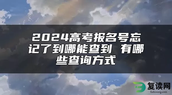 2024高考报名号忘记了到哪能查到 有哪些查询方式