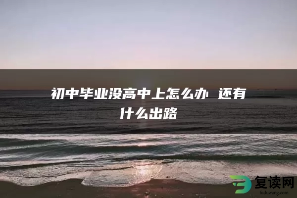 初中毕业没高中上怎么办 还有什么出路